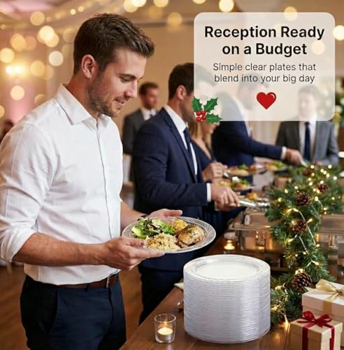 Framo 9 Inch Clear Plastic Dinner Plates 120 Count – Heavy Duty Disposable, 9" Pairing Siblings