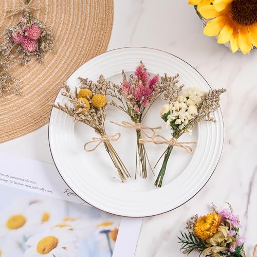 Mini Dried Flowers Bouquet Set - Natural Wildflowers for Vases & DIY Crafts
