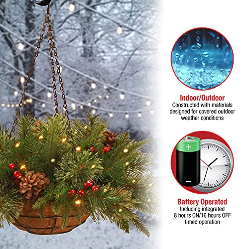 National Tree Company 20in Pre-Lit Colonial Fir Hanging Basket (Basket) – Indoor/Outdoor Christmas Decor