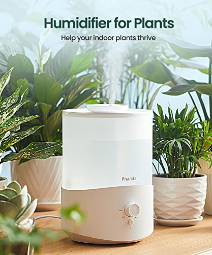 2.5L Cool Mist Humidifier and Essential Oil Diffuser for Bedroom