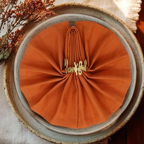 100% Cotton Cloth Dinner Napkins - 17x17 Inch Pumpkin Spice, Set of 12