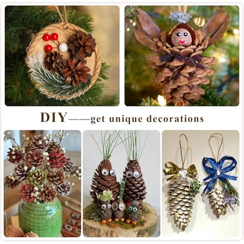 54 PCS Natural Pine Cones for Crafts Set Medium & Extra Large 1.2"-4"