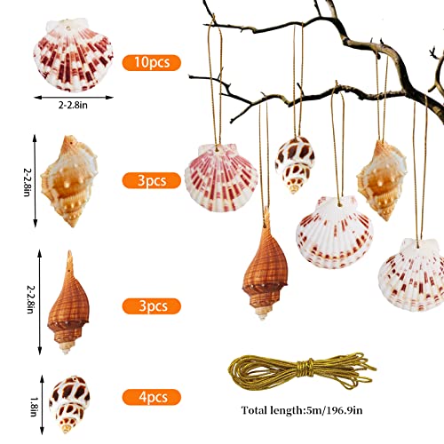 20PCS Seashell Hanging Ornaments for Beach & Holiday Decor