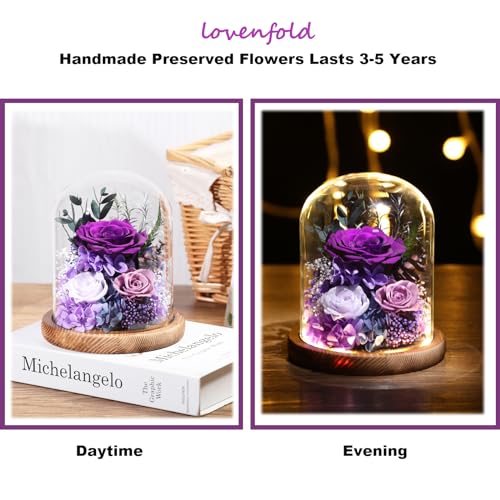 Preserved Purple Rose in Glass Dome with LED Lights - Eternal Flower Gift