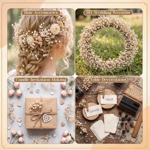 50 Pcs Dried Baby's Breath Flowers, Ivory White Gypsophila for Wedding Decor