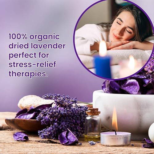 14 Pack Organic Lavender Sachet Bags for Closets, Drawers and Storage