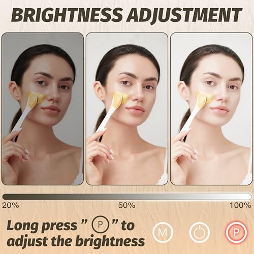 FENNIO Vanity Mirror with Lights 13'' x 17'' Makeup Lights,Vanity
