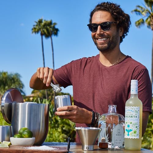 Snowfox Insulated Whiskey & Cocktail Glasses Set with Ice Bucket & Scoop, 11oz & 3L Stainless Steel Bar Accessories
