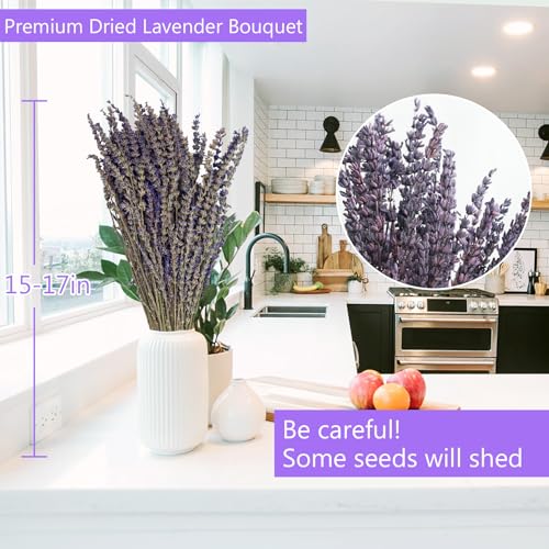 Natural Dried Lavender Bundles (2 Pack, 280 Stems) - 16 Inch Decor