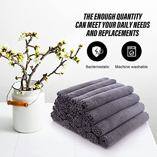 MOONQUEEN Ultra Soft Premium Washcloths Set - 12 x inches 24 Pack