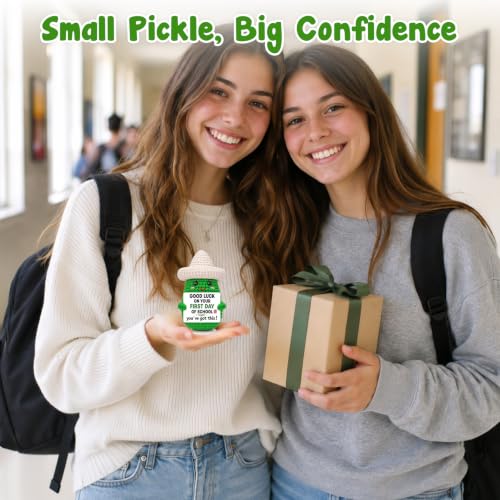 Handmade Crochet Pickle Desk Decor - First Day of School Encouragement Gift