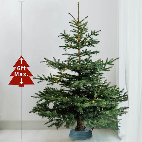 Real Christmas Tree Stand with Water Reservoir & Foot Pedal Setup for 6ft Trees