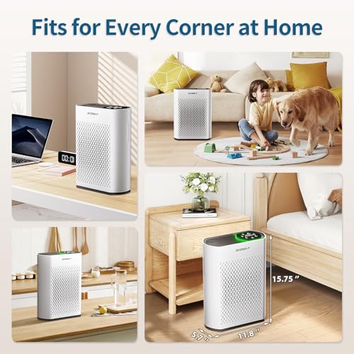 Large Room Air Purifier with True HEPA Filter and Air Quality Display