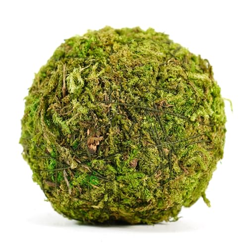 18-Piece Decorative Moss and Rattan Ball Set for Bowl and Vase Fillers