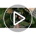 CENTOLEO Oppossum Fox Christmas Ornament - Woodlands Suncatcher Fox Gift