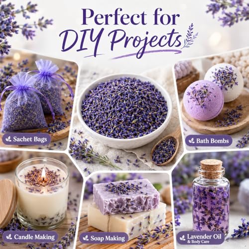 Dried Lavender Buds 3oz - Fragrant French Lavender Flowers for DIY Crafts