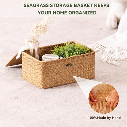 Wicker Storage Basket with Lid, Hand-Woven Seagrass Basket Set of 3