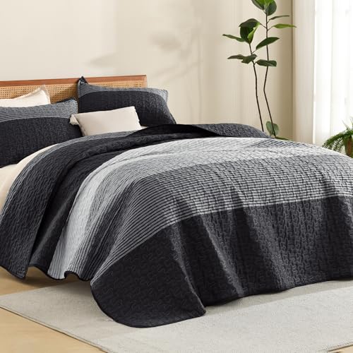 Litanika Queen Quilt Set, 3 Piece Black and White Stripe Coverlet Bedspread