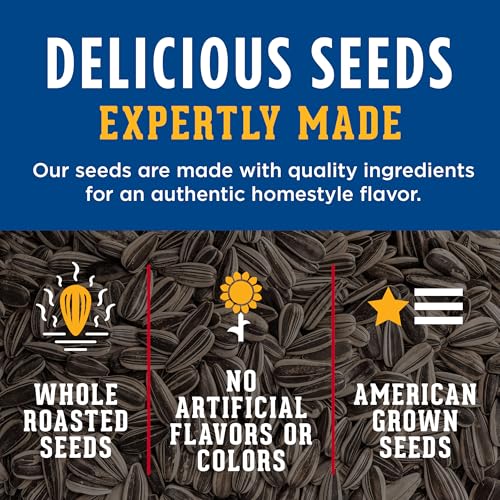 David Jumbo Sunflower Seeds Original Flavor 16 oz Pack of 1 – Salty Roasted Snack