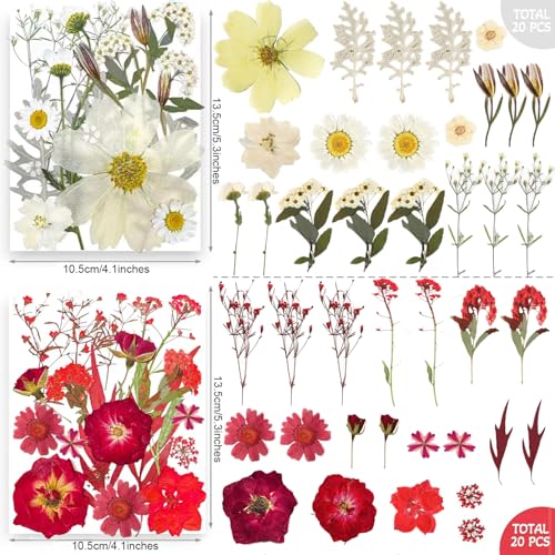 301-Piece Dried Pressed Flowers and Leaves Set for Resin Crafts and Decor