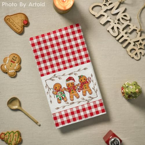 Artoid Mode Red Candy Christmas Kitchen Towels Set of 2 18x26 Inches