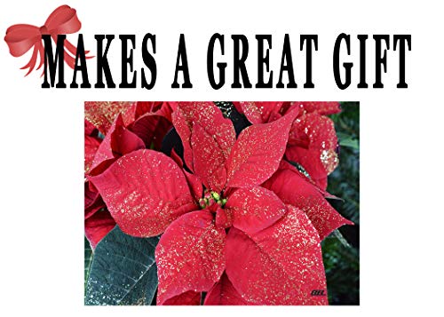 Red Poinsettia Floral Glass Cutting Board - Christmas Kitchen Decor & Gift