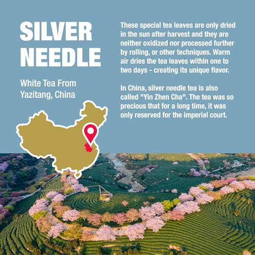 Tiesta Tea Silver Needle White Tea ? Premium Loose Leaf, Single-Origin from China | Pure Unblended Low-Caffeine Tea | Hot or Cold Brew | 2.5oz Refillable Tin | Brews 50 Cups