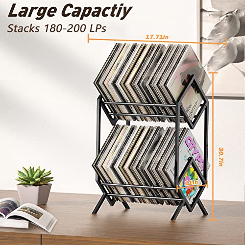 2-Tier Vinyl Record Storage Rack - Holds 200 LPs with Dividers