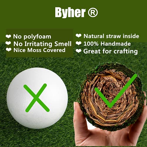 Natural Preserved Moss Decorative Balls, 3.5-Inch Set of 6