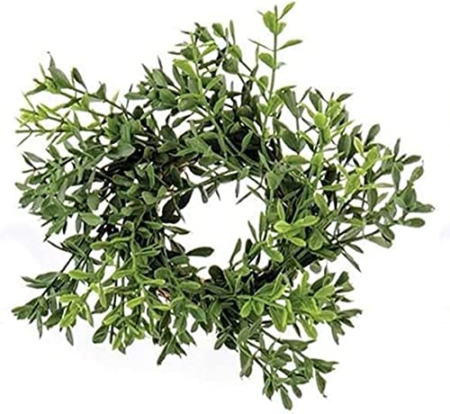 6-Inch Boxwood Candle Ring with 2-Inch Center for Taper Candles