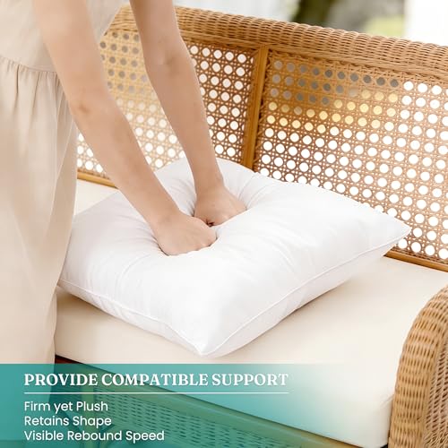 Oubonun 12x20 Waterproof Lumbar Outdoor Pillow Inserts - Set of 2