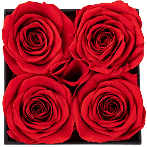 Preserved Real Rose in Gift Box - Long-Lasting Eternal Flower for Her