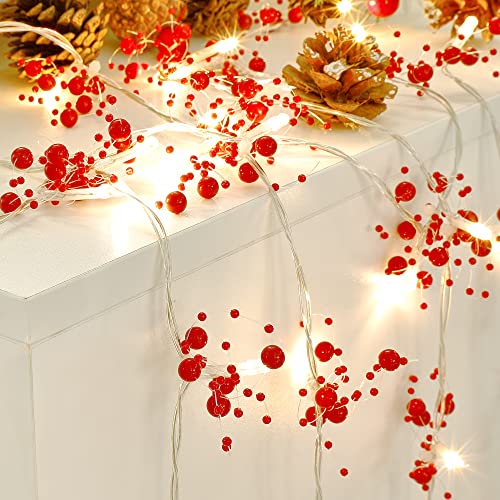 Mosoan 10ft Battery-Operated 30-LED Berry Bead Christmas Lights