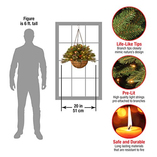 Pre-Lit Crestwood Spruce Hanging Basket - 20in with Lights, Berries & Cones - Green / 16 Inch
