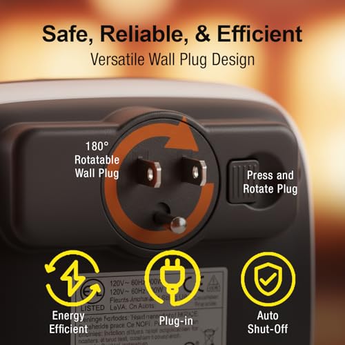 Portable Plug-In Ceramic Space Heater with Adjustable Thermostat and Timer