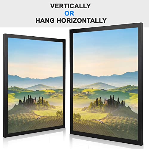 21x29 Black Picture Frame with Clear Plexiglass - Wall Hanging Poster Frame
