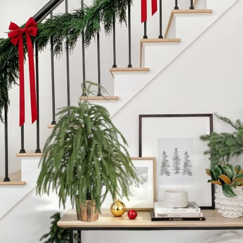 2ft Norfolk Pine Tree with Pot - Siyaluens Tabletop Christmas Tree (1pc, 2ft)