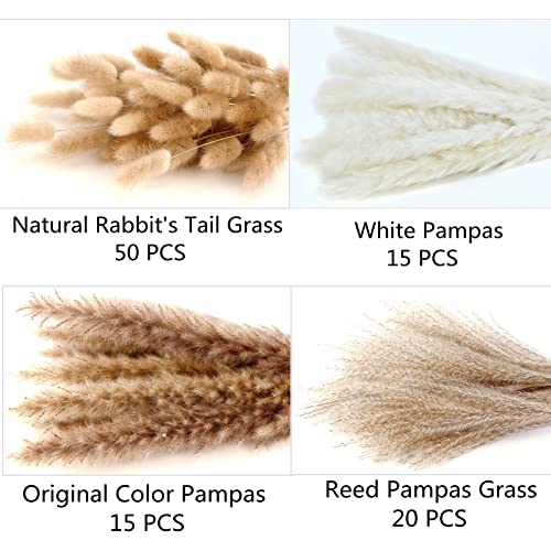 100 Stems Natural Dried Pampas Grass Decor - 17" Boho Floral Bouquet