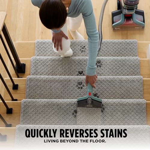 Shark CarpetXpert Upright Carpet Cleaner & Stain Remover with 3 Tools