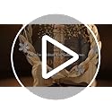 25th Wedding Anniversary Crystal Plaque with Gold Leaf Wreath Stand