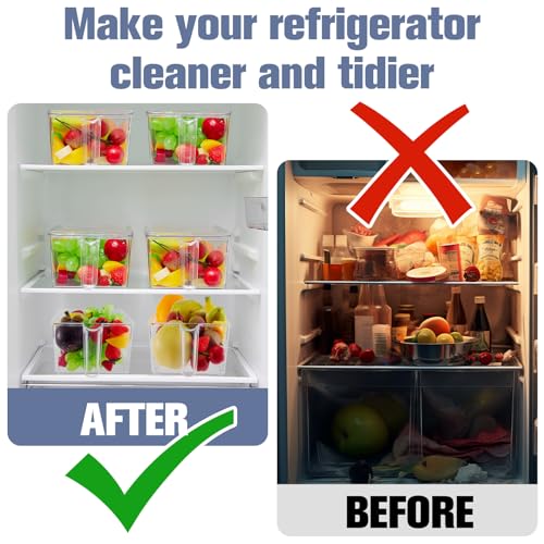Clear Plastic Ice Storage Bin for Freezer with Lid and Scoop (12.4 Inch)