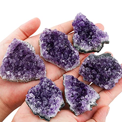 Natural Amethyst Quartz Crystal Cluster Geode Specimen, 1-2 Inch