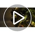 2ft Pre-Lit Mini Tabletop Christmas Tree with 30 LED Lights & Star Topper