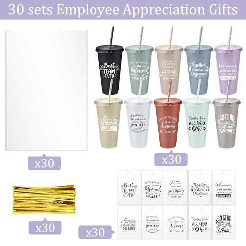 Skylety Employee Appreciation Gift Set Bulk with 30 Dark Colors Tumblers & Cards - Tribute Edition