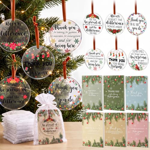 Barydat 100 Count Christmas Thank You Ornament Gift Set for Coworkers – Classic Edition