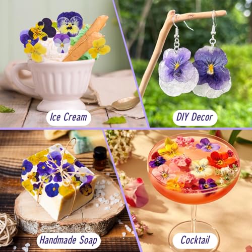 Natural Dried Pressed Edible Flowers for Cake Toppers & DIY Crafts, 40 Pcs