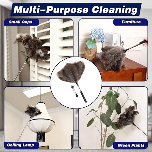Extendable Ostrich Feather Duster with 40-Inch Stainless Steel Pole
