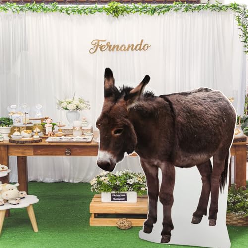 Motiskyy Large Donkey Cardboard Cutout Photo Standee 41.5x49.5in Nativity Decoration