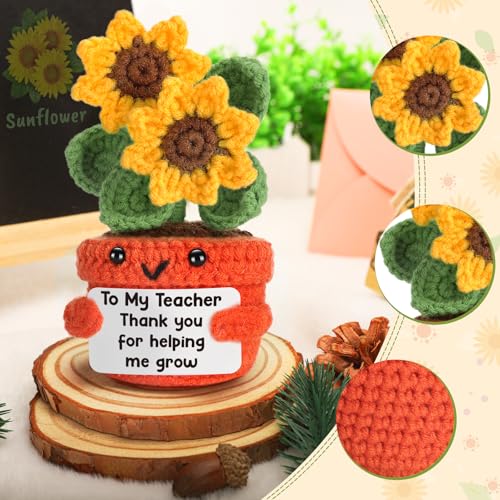 Teacher Appreciation Gifts - Handmade Sunflower & Gratitude Card for Teacher - Back to School Christmas Thank You Gift - LuoHere
