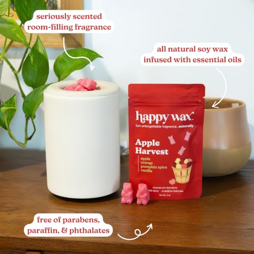 Scented Soy Wax Melts Variety Pack - Cinnamon & Pumpkin Spice, 6oz